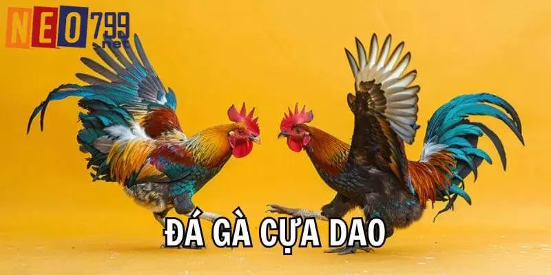 Khái quát về đá gà cựa dao