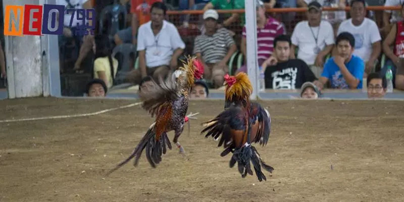 Các quy định về luật mới