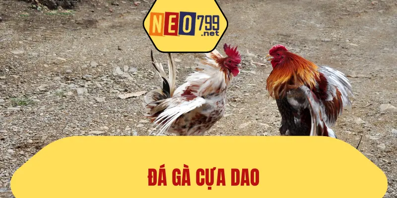 Đá Gà Cựa Dao